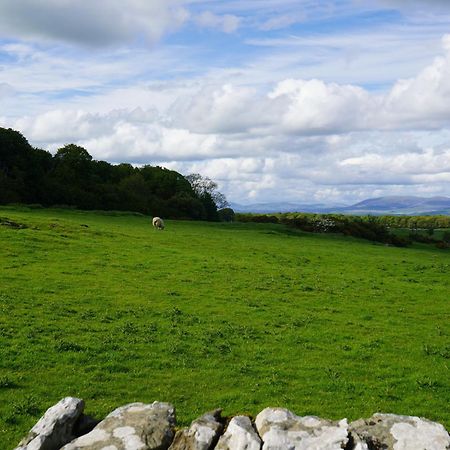 Roe Deer Lodge Newton Stewart Εξωτερικό φωτογραφία