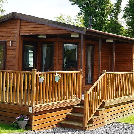 Roe Deer Lodge Newton Stewart Εξωτερικό φωτογραφία