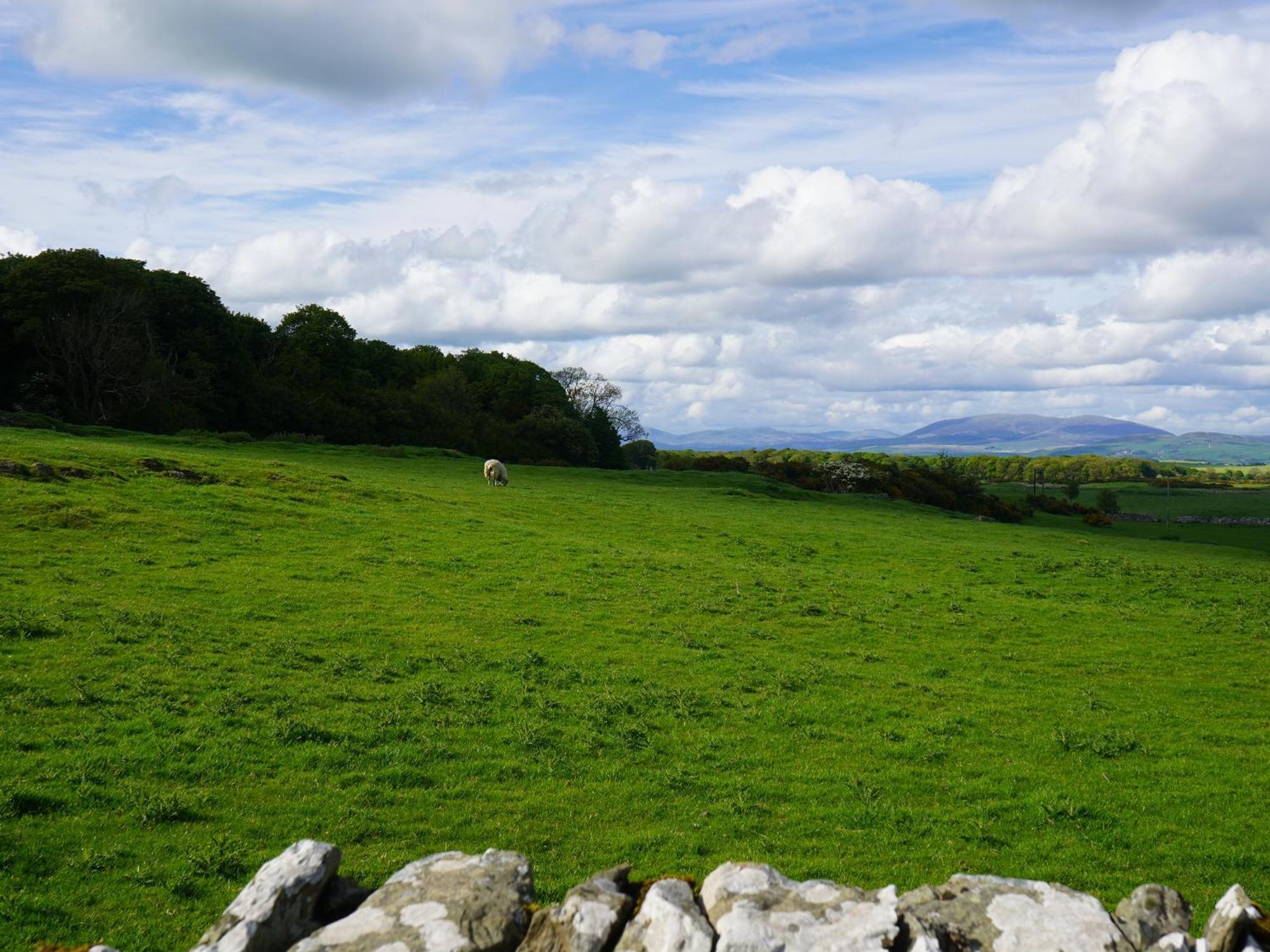 Roe Deer Lodge Newton Stewart Εξωτερικό φωτογραφία